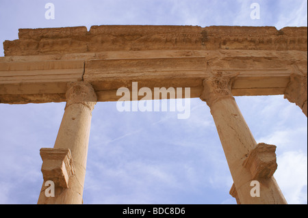 Spalten im antiken Palmyra, Syrien Stockfoto