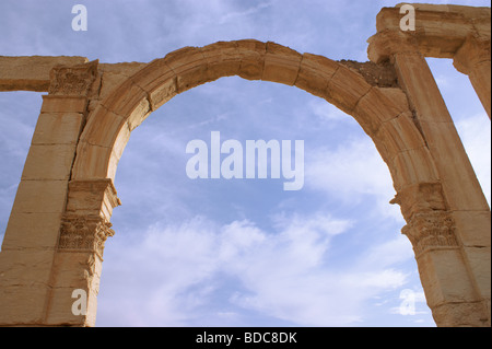 Spalten im antiken Palmyra, Syrien Stockfoto