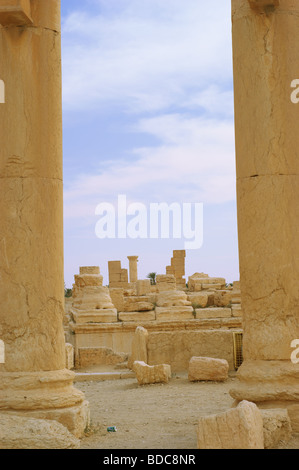 Spalten im antiken Palmyra, Syrien Stockfoto