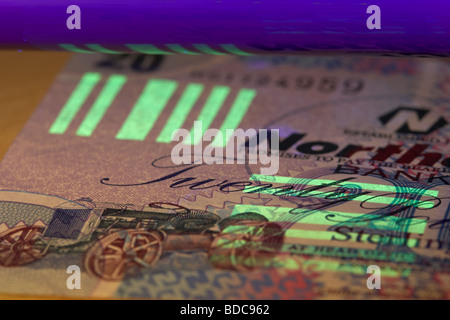 mit Hilfe eines UV schwarz-Lichts eine zwanzig Pfund Hinweis nördlichen irischen Nordufer banknote Stockfoto