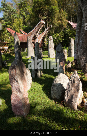 Indonesien, Sulawesi, Tana Toraja, Kalimbuang Dorf, Stein Megalithen unter Tongkonan Häuser Stockfoto