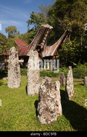 Indonesien Sulawesi Tana Toraja Kalimbuang Dorf Stein Megalithen unter Tongkonan Häuser Stockfoto