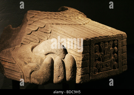 Archäologische Fundstücke aus der Templo Mayor-Zone im Zentrum von Mexiko-Stadt, die im Museum des Ortes ausgesetzt sind Stockfoto