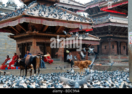 Geschnitzte hölzerne Detail Fassade Jagannath Tempel Kuh Kalb Tauben Vögel in der Nähe von Hanuman Dhoka Durbar Square Kathmandu-Nepal Stockfoto