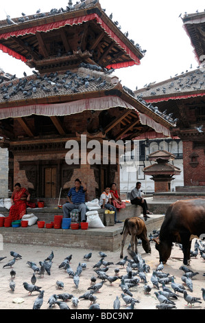 Geschnitzte hölzerne Detail Fassade Jagannath Tempel Tauben Kuh Kalb in der Nähe von Hanuman Dhoka Durbar Square Kathmandu Nepal. Stockfoto