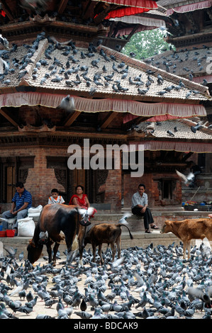 Geschnitzte hölzerne Detail Fassade Jagannath Tempel Kuh Kalb Tauben Vögel in der Nähe von Hanuman Dhoka Durbar Square Kathmandu-Nepal Stockfoto