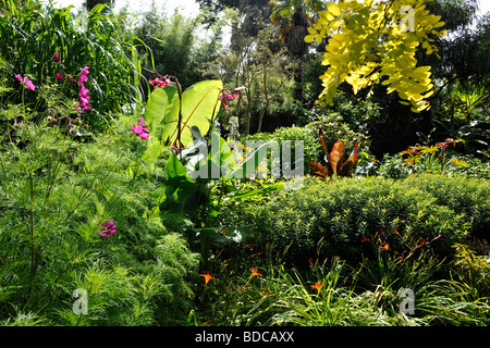 Abbotsbury subtropischen Gärten, in der Nähe von Weymouth, Dorset, UK. Landschaftsgärten. Stockfoto