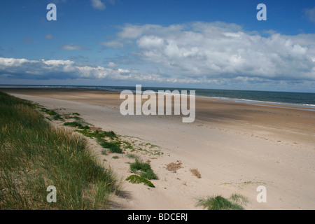 Der Strand von Titchwell Marsh RSPB Reserve, The Wash, Norfolk, Dornweiler Punkt entlang des Sandes auf Stockfoto