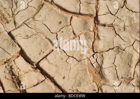 Drougtt Land - Wüste Stockfoto