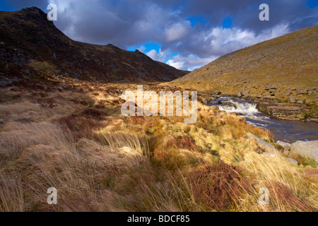 Ein Blick auf Tavy Cleave in Dartmoor, Devon Stockfoto