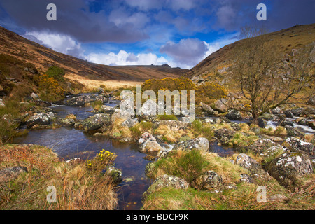 Ein Blick auf Tavy Cleave in Dartmoor, Devon Stockfoto