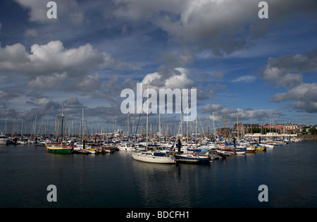 Bangor Marina Grafschaft unten Nordirland Vereinigtes Königreich Stockfoto