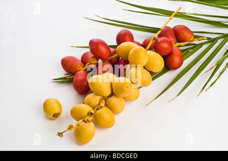 Eine Reihe von gelb und rot, roh Termine mit Palm verlässt. Stockfoto