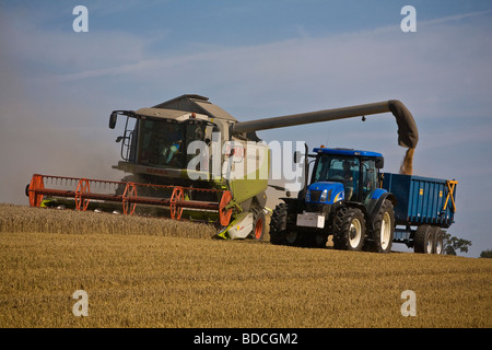Mähdrescher und Traktor bei der Arbeit in Ashen Essex in der Nähe von Clare in Suffolk Stockfoto