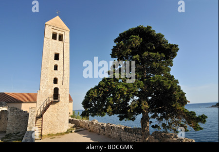 Baum und Campanile (Glockenturm) der Basilika des Hl. Johannes (Ivan) der Evangelist, historische Altstadt von Rab, Kroatien Stockfoto