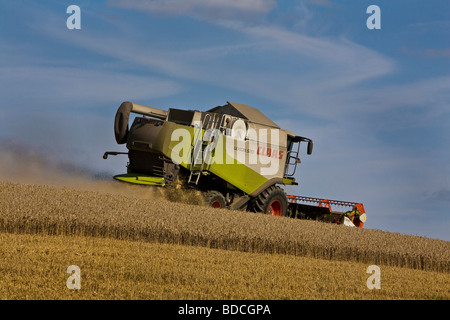 Mähdrescher und Traktor bei der Arbeit in Ashen Essex in der Nähe von Clare in Suffolk Stockfoto