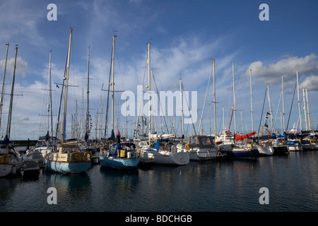 Reihe von Yachten festgemacht in Bangor Marina Grafschaft unten Nordirland Vereinigtes Königreich Stockfoto