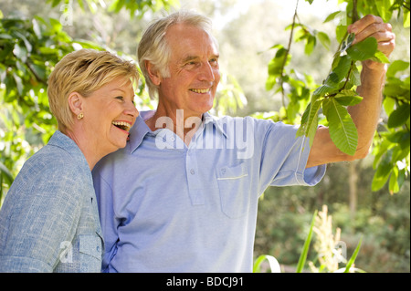 Älteres Paar in Landschaft Stockfoto