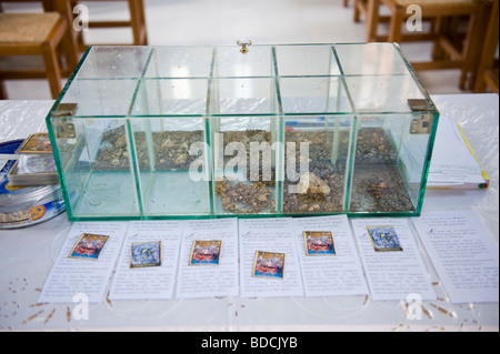 Jährliches Festival der Schlangen in der Kirche der Jungfrau Maria in einem Bergdorf auf griechischen Insel von Kefalonia Griechenland GR Arginia Stockfoto