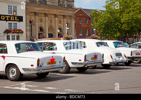 Reihe von weißen Rolls-Royce Hochzeit Autos mit Bändern England UK Europe Stockfoto