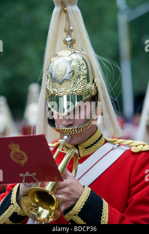 Ein Musiker aus der Königin Life Guard Band nach dem Wechsel der Wache, Buckingham Palace, London, Großbritannien Stockfoto