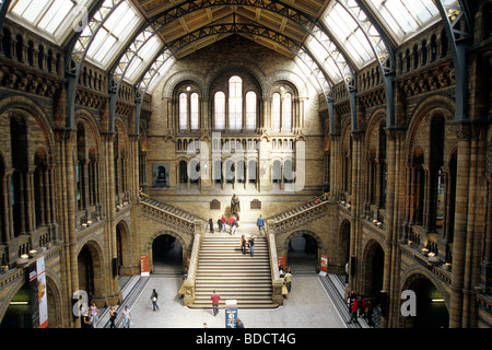 Natural History Museum, Treppe in der zentralen Halle, Knightsbridge, London, England, UK, Europa Stockfoto