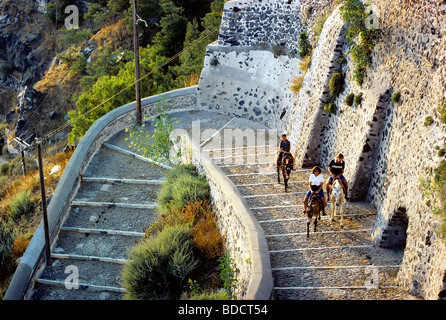 Steile Treppe vom Hafen zum Fira, Touristen reiten auf Maultiere, Santorini, Thira, Kykladen, Griechenland, Europa Stockfoto