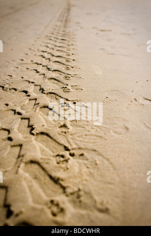 Fahrzeug Spuren im Sand führenden Weg zum Horizont Stockfoto