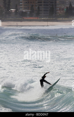 Surfer am Manly Beach in Sydney, Australien Stockfoto