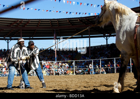 Louisiana State Penitentiary. Angola Prison Rodeo. FOTO: GERRIT DE HEUS Stockfoto