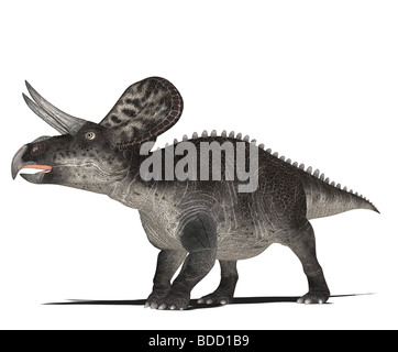 Zuniceratops Dinosaurier Stockfoto