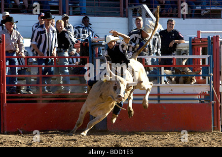 Louisiana State Penitentiary. Angola Prison Rodeo. FOTO: GERRIT DE HEUS Stockfoto