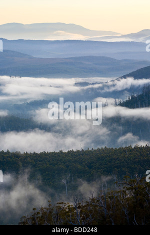 Morgendämmerung auf die Waratah Lookout Hartz Mountains National Park, Tasmanien, Australien Stockfoto