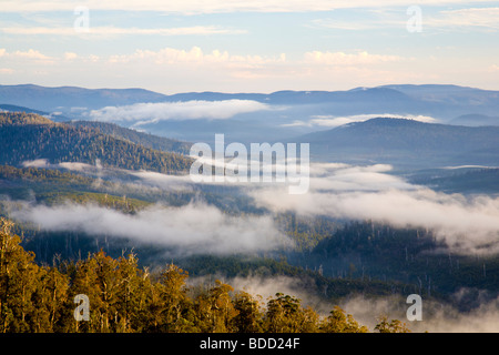 Morgendämmerung auf die Waratah Lookout Hartz Mountains National Park, Tasmanien, Australien Stockfoto