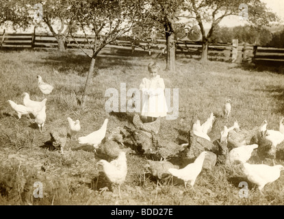 Kleine Mädchen Fütterung Hühner Stockfoto