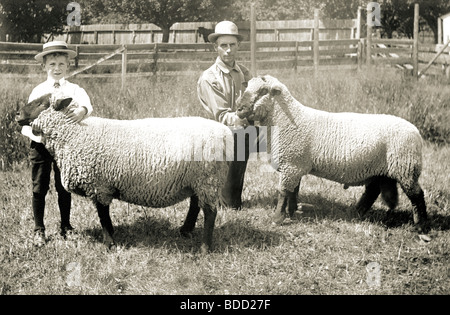 Vater & Sohn posiert mit Schaf Stockfoto