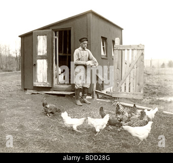 Landwirt Fütterung kleine Geflügel Herde Stockfoto