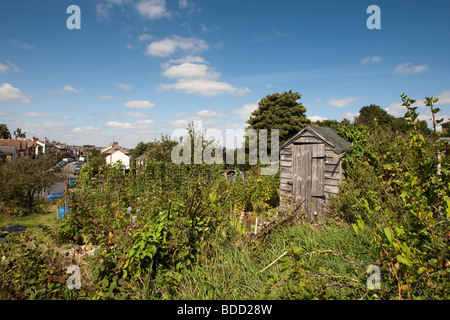 Innere Stadt Kleingärten in Royal Tunbridge Wells Stockfoto