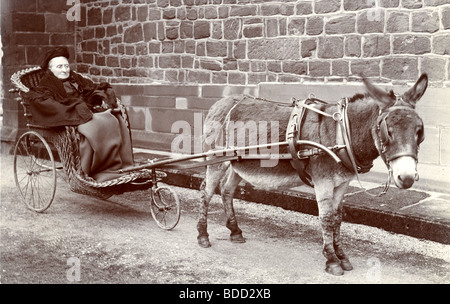 Alte Frau in Wicker Eselskarren unterwegs Stockfoto