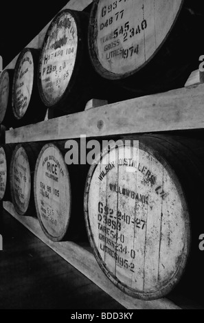 Fässer in einer Whisky-Destillerie, Neuseeland. Stockfoto