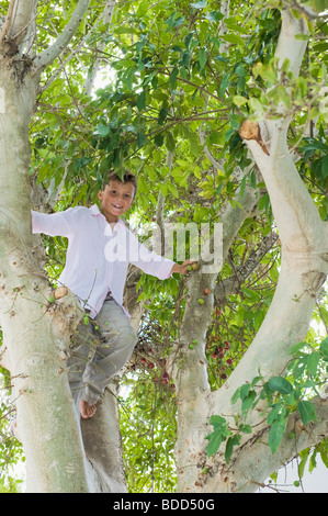 Niedrigen Winkel Ansicht eines jungen ein Kletterbaum Stockfoto