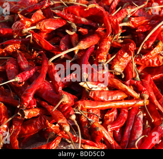 Getrocknete Chilischoten auf einem Markt in Nepal. Stockfoto