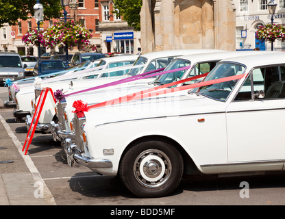 Reihe von weißen Rolls-Royce Hochzeit Autos mit Bändern England UK Stockfoto