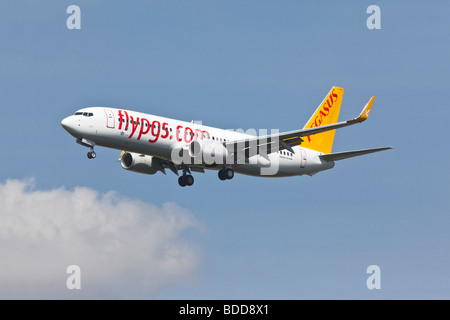 Ein Pegasus Boeing 737 Serie 800 Flugzeuge im Endanflug Stockfoto