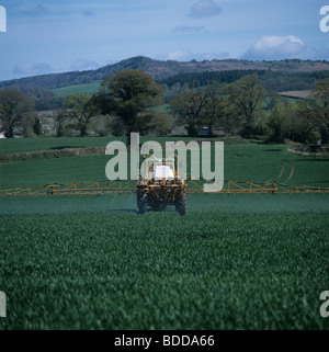 John Deere Traktor mit Ritter gezogene Spritze Spritzen Weizen-Getreide im Frühjahr Stockfoto