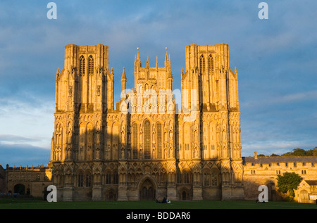 Wells Cathedral Somerset England. Kathedrale grün. FOTO HOMER SYKES Stockfoto