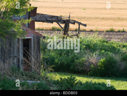 Verlassene Hütte neben dem Feldweg und leeres Feld im Westen von Texas. Stockfoto