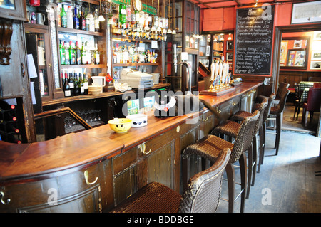 Tom Paine, die ansässige Katze in The Seven Stars Pub, Holborn, London, UK Stockfoto