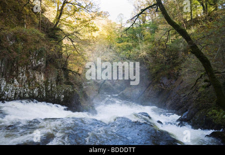 Blick hinunter vom Schlucken fällt in voller Überflutung auf Afon Llugwy Fluss in Snowdonia National Park. Betws-y-Coed Conwy in Wales Großbritannien Großbritannien. Stockfoto