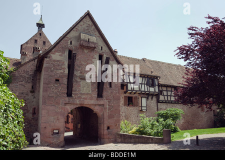 Riquewihr, Elsass, Haut-Rhin, Frankreich, Europa. Zugbrücke und Fallgatter Turm Bogen in befestigten mittelalterlichen Stadtmauern Stockfoto